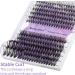 Individual Lashes Cluster Extension 240PCS C Curl 0.07mm 20D/30D Mix 12-16mm RR-12-16mm - Buy Online on GoSupps.com