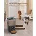 Ciays Automatic Cat Feeder 5.6L - 20 Portion Control, 4 Meals a Day - Pet Food Dispenser for Cats/Dogs - Dual Power & Voice Recorder - Black - Buy Online on GoSupps.com