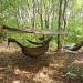 Onewind Premium 12ft Hammock Tarp Sleeve: Lightweight & Durable Rain Fly Snakeskin for Easy Storage. Ideal for Camping, Hiking, and Backpacking in Water Resistant OD Green - Buy Online on GoSupps.com