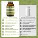 Qidosha Hemp Seed Oil Capsules - High Dose 2000mg Daily 180 pcs Cold-Pressed Omega 3 6 9 1000mg per Capsule - Premium Quality - Buy Online on GoSupps.com