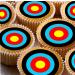 24 Archery Target PRE CUT edible birthday party Cupcake Cake Toppers Wafer Rice Paper precut decoration