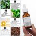 Caffeine Eye Serum | Reduce Puffiness & Dark Circles | 5% Caffeine Solution (30ml) - International Shipping Available - Buy Online on GoSupps.com