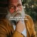 Wild Willies Premium Beard Balm Leave-In Conditioner - Fast Beard Growth & Itch Relief - Natural Organic Ingredients - Cool Mint Scent - 2 Oz - Buy Online on GoSupps.com