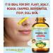 Botanical Beauty BANANA OIL 100% Natural Pure Virgin Unrefined Cold Pressed Carrier Oil for Face Skin Hair Lip Nails for Dry Sensitive Normal Skin 2 Fl Oz 60 ml - Buy Online on GoSupps.com