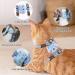 Adjustable H-Shaped Cat Dishes with Leash - Light Soft & Perfect for Cats Puppies & Small Pets (3.0kg-7.5kg) - Blue - Buy Online on GoSupps.com