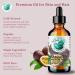 Bella Terra Oils Pure Maracuja Oil for Lustrous Hair & Radiant Skin 1 gallon Lightweight & Non-Greasy Shine Enhancer - Buy Online on GoSupps.com