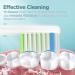 Ultimate Whitening Diamond-Shaped Bristle Toothbrush Heads for Philips Sonicare (2 Pack) - Buy Online on GoSupps.com