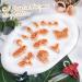 Puocaon Luna Moth Polymer Clay Cutters - Set of 16 Shapes for Polymer Clay Jewelry Making - Buy Online on GoSupps.com