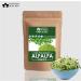 Blessfull Healing Organic 100% Pure Natural Alfalfa Superfood Powder | 300 Gram / 10.58 oz - Buy Online on GoSupps.com