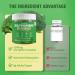 Liposomal Sulforaphane Supplement 450mg | Broccoli Sprout & Seed Extracts, Glucoraphanin, Myrosinase, Glutathione & Sunflower Lecithin | Antioxidant Detox & Cellular Health | Sugar-Free, 60 Gummies - Buy Online on GoSupps.com