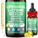Liposomal L-lysine 1000MG Liquid Drops L-Lysine Supplements for Kids and Adults All-in-1 Essential Amino Acid with Vitamin C B6 D3 B12 & Zinc for Collagen Lip skin & Immune Support 1 Pack 2 Fl Oz (Pack of 1)