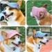 Dog Baseball Caps - Adjustable Sunscreen Hat for Small Medium & Large Dogs (L Blue) - Sun Protection with Ear Holes - Buy Online on GoSupps.com