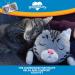 HuggieKitty by Pets Know Best - Cuddly Cat Toy with Soothing Sound & Warmth for Relaxation - Purr & Heartbeat Heating Pack Grey - Buy Online on GoSupps.com