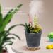 150ml Succulent Potted Essential Oil Diffuser - Waterless, 2 Mist Modes, Super Quiet, 7-Color Light | Aromatherapy for Home/Office - Buy Online on GoSupps.com