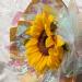 Giiffu Iridescent Film Cellophane Wrap Roll I 34 In Wide X 50 Ft Long I for Gift Baskets Flower Wrapping Paper Holographic Cellophane Easter Wrap Roll for Easter Gift Floral Bouquet Wrapping Pink Colorful - Buy Online on GoSupps.com