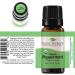 Plant Therapy Organic Peppermint Essential Oil 10mL - USDA Certified, 100% Pure & Undiluted - Natural Aromatherapy for Therapeutic Benefits - Buy Online on GoSupps.com