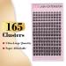 Cluster Eyelash Extensions - 165 PCS Wispy DIY Individual Lashes | Soft Mink False Eyelashes in Mixed Tray (C-8-16 Mix) - International Shipping Available - Buy Online on GoSupps.com