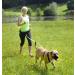 DINGO Canicross Belt 4-in-1 | Universal Adjustable Hands-Free Dog Walking Belt | Reflective Multifunctional | Running Sports Jogging Training | Black Waist Belt (12780-2) - Buy Online on GoSupps.com