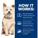 Hill's Prescription Diet k/d Kidney Care Wet Dog Food Chicken & Vegetable Stew 12.5oz - Pack of 12 - Buy Online on GoSupps.com