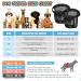 3 Pack Dog Diapers with 9 Women's Bands - XL Black Heat Sequence Underpants for Bitches | Washable Protective Pants - Buy Online on GoSupps.com
