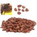 cersalt Bark Bedding Tortoise Bedding Durable for Reptile Life for Pet Bedding for Indoor Plants for Gardening(Small particles 250g) - Buy Online on GoSupps.com