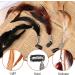 Wedding Feather Hair Clip | Handmade Feathers Headpiece for Women - Buy Online on GoSupps.com