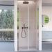 Shower door with two salon doors in transparent glass H195 6 mm DOBLA - 80