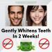 Krishna's Cupboard Supernatural Organic Tooth Cleaning Powder - All-Natural Stain Remover & Teeth Whitener Fluoride-Free Vegan Toothpaste (Spearmint 1.25 oz - Buy Online on GoSupps.com