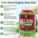 1 Body Beet Vital Organic Beetroot Capsules for Circulation Energy & Stamina Nitric Oxide Booster Beets Supplements with 1360mg Beetroot Extract Vegan Non-GMO - Beet Root Supplements 60 Count - Buy Online on GoSupps.com