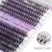 Individual Lashes Cluster Extension 240PCS C Curl 0.07mm 20D/30D Mix 12-16mm RR-12-16mm - Buy Online on GoSupps.com