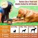 GastroBalance Dog Constipation treatment 60 laxative soft chews Natural dog stool softener (Bacon flavour) - Buy Online on GoSupps.com
