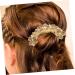 FOMIYES Hair Jewelry Hair Side Combs Rhinestone Hair Comb Hair Combs for Women Decorative Hair Comb Clips Bridal Hair Comb Rhinestone Hair Side Comb Hair Accessories Miss Alloy Hair Clip - Buy Online on GoSupps.com