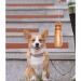 Namsan 550ml Dog Drinking Bottle - Portable Water Bottle for Dogs & Cats | Foldable Travel Bowl for Outdoor Activities - Orange - Buy Online on GoSupps.com