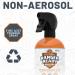 Ranger Ready Permethrin 0.5% Clothing-Worn Repellent 24 fl oz - Scent Zero (Pack of 1) - Buy Online on GoSupps.com