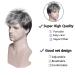 MEIRIYFA Silver Short Hair Wig for Men - Bangs Cosplay & Halloween Party Wig with Cap - Buy Online on GoSupps.com
