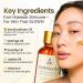 Choglow Glow Face Oil Retinol Alternative for Dark Spots Wrinkles & Pores Jojoba Moringa Rosehip Sea Buckthorn Vitamin E Anti-Aging Brightening Serum for Glowing Skin - Buy Online on GoSupps.com