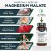 Best Immune International Highquality magnesium malate 500 mg ideal strength 100 Vegan capsules Highest bioavailability Natural product - Buy Online on GoSupps.com
