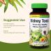 Herbs Etc. Kidney Tonic Softgels - Function Supplement - Natural with Dandelion Saw Palmetto & Parsley - 60 Softgels (60 Servings) - Buy Online on GoSupps.com