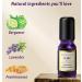 Sleep Well Essential Oil Roll-On | Anti-Stress Calming Aromatherapy Stick - Lavender Bergamot & Frankincense - Perfect Gift for Women | Destress & Relaxation | New Miuz USA - Buy Online on GoSupps.com