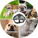 Short Snout Dog Muzzle French Bulldog Muzzle Frenchie Muzzle Short Billed Dogs Muzzle Anti Bitting Chewing Barking with Adjustable Breathe Mesh Overhead Strap for Flat Faced Dog - Buy Online on GoSupps.com