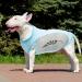 Jodsen Dog Cooling Vest - Summer Breathable Mesh Jacket for Small to Medium Dogs (3XL Blue) - Comfortable & Reflective Design - Buy Online on GoSupps.com