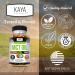 Kaya Naturals MCT Oil 2000mg - Non-GMO Soy-Free Gluten-Free - Brain Digestive & Skin Health - 30 Softgels 30 Count (Pack of 1) - Buy Online on GoSupps.com