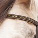 Buy Star WALDHAUSEN Bridle Diamond Brown for Warmbloods | Premium Quality Equestrian Gear Worldwide Shipping - Buy Online on GoSupps.com
