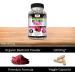 Kaya Naturals Premium Organic Beet Root Powder - Beet Root Extract Non-GMO & Gluten-Free 1300mg Per Serving - 30 Count Veggie Capsules 30 Count (Pack of 1) - Buy Online on GoSupps.com