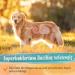 Ida Plus Probiotic Snack for Dogs - Intestinal Renovation & Digestive Support - 440g Prebiotic Formula for Healthy Gut Flora - Buy Online on GoSupps.com
