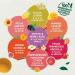 Elephant Flavored Infusion Mango Passion Flavor Rainforest Alliance Certified 100% Natural Ingredients 20 Sa - Buy Online on GoSupps.com