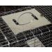 OxGord Live Animal Trap - Humane 2-Door 32 Cage for Raccoon, Opossum, Cat, Rabbit & Rodents - Buy Online on GoSupps.com