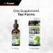 BIO KRAUTER Ginkgo Biloba for Brain Support - Pure Vegan Ginkgo Biloba Supplement 670 mg - Supports Calm Focus & Memory - Alcohol & Sugar Free 2 Fl.Oz 28-Day Supply Liquid Drops for Brain Health 2 Fl Oz (Pack of 1) - Buy Online on GoSupps.com