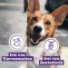 Buy Chewies 100% Goat Meat Strips for Dogs - 150g Hypoallergenic & Grain-Free Treats - International Shipping - Buy Online on GoSupps.com