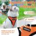 Rabbitgoo Breakage-Proof Cat Dishes & Harness Sets | Durable Cat Gear for International Shipping - Buy Online on GoSupps.com